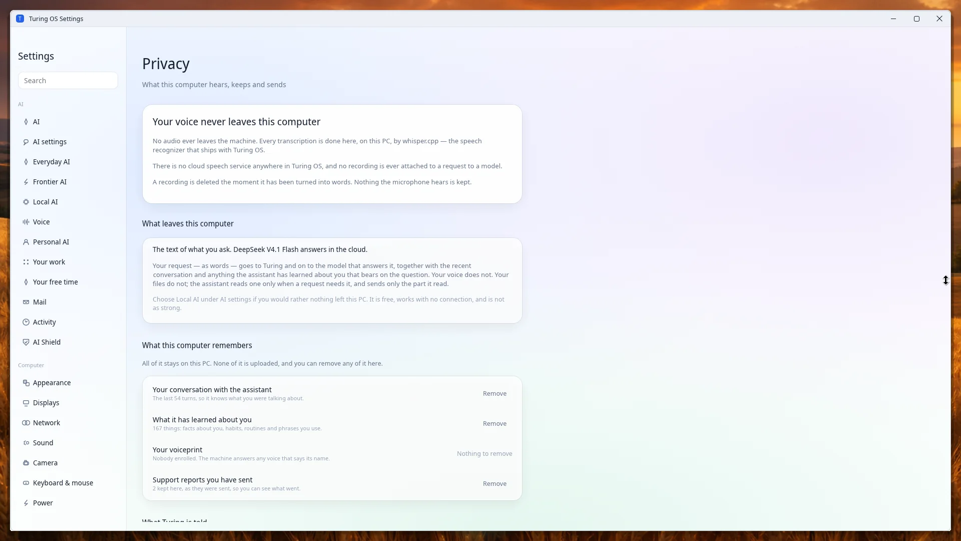 Settings — Privacy